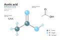Acetic Acid. Ethanoic Acid. Vinegar. Structural Chemical Formula and 3d Model of Molecule. C2H4O2. Atoms with Color Coding. Vector