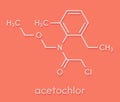 Acetochlor herbicide molecule. Skeletal formula.