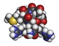 Acetyl hexapeptide-3 (argireline) molecule. Peptide fragment of SNAP-25. Used in cosmetics to treat wrinkles. Atoms are