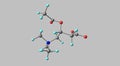 Acetyl-L-carnitine molecular structure isolated on grey