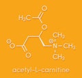 Acetylcarnitine ALCAR nutritional supplement molecule. Skeletal formula.