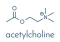 Acetylchloline ACh neurotransmitter molecule. Skeletal formula.