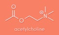 Acetylchloline ACh neurotransmitter molecule. Skeletal formula.