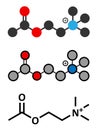 Acetylchloline (ACh) neurotransmitter molecule Royalty Free Stock Photo