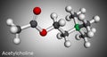 Acetylcholine, ACh molecule. It is parasympathomimetic neurotransmitter, vasodilator agent, hormone, human metabolite. Molecular