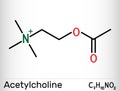 Acetylcholine, ACh molecule. It is parasympathomimetic neurotransmitter, vasodilator agent, hormone, human metabolite. Skeletal