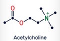 Acetylcholine, ACh molecule. It is parasympathomimetic neurotransmitter, vasodilator agent, hormone, human metabolite. Skeletal