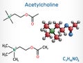 Acetylcholine, ACh molecule. It is parasympathomimetic neurotransmitter, vasodilator agent, hormone, human metabolite. Structural