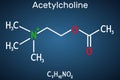 Acetylcholine, ACh molecule. It is parasympathomimetic neurotransmitter, vasodilator agent, hormone, human metabolite. Structural