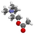 Acetylcholine (ACh) neurotransmitter, molecular model