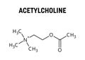 Acetylcholine structural formula of molecular structure