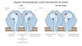 acetylsalicylic acid action diagram medical scienc