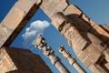 Achaemenid Lamassu Guarding the Entrance Gate of All Nations in Persepolis