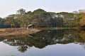 The Acharya Jagadish Chandra Bose Indian Botanic Garden pond reflecting CBD skyscrapers surrounded by green exotic trees Royalty Free Stock Photo