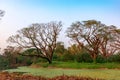 The Acharya Jagadish Chandra Bose Indian Botanic Garden of Shibpur, Howrah near Kolkata Royalty Free Stock Photo