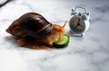 The Achatina snail eats a cucumber. Alarm clock on the table. Dinner time. Meals by the hour. Diet. Hypoallergenic exotic pet