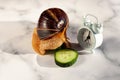 The Achatina snail eats a cucumber. Alarm clock on the table. Dinner time. Meals by the hour. Diet. Hypoallergenic exotic pet