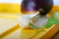 Achatina snail eats a lettuce leaf. Giant African snail. White snail with dark shell on yellow background. Royalty Free Stock Photo