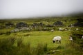 Achill island deserted village in fog