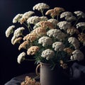 Achillea millefolium isolated on black background. Flowers and plants in spring. AI generated