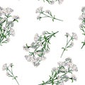 Achillea millefolium medicinal plant watercolor seamless pattern isolated on white background. Yarrow white flower