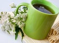 Achillea millefolium plant with flowers / fresh Yarrow tea Royalty Free Stock Photo