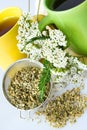 Achillea millefolium plant with flowers / fresh Yarrow tea Royalty Free Stock Photo