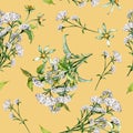 Achillea yarrow, nettle, bidens beggarticks watercolor seamless pattern isolated on beige. Medicinal flowers painted