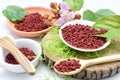 Achiote, annatto, bixin, urucÃÂº or onoto is a natural red pigment for coloring and cooking