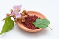 Achiote, annatto, bixin, urucÃÂº or onoto is a natural red pigment for coloring and cooking