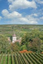 Achkarren,Kaiserstuhl wine region,Black Forest,Germany Royalty Free Stock Photo