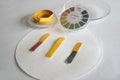 Acid - base detection through litmus paper. The color of the paper identifies an acid or basic solution Royalty Free Stock Photo