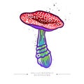 Acid fly agaric sticker. Hand drawn toadstool concept. Amazing drawing of a fly agaric psilocybin mushroom