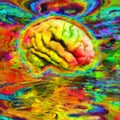 Acid humans brain