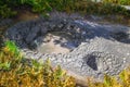 Acid lake in Uzon& x27;s volcano caldera. Kamchatka, Russia.