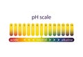 Acidity scale of litmus indicator paper, color gradient