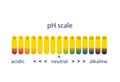 Acidity scale of litmus indicator paper. Vector illustration.