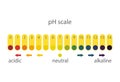 Acidity scale of litmus indicator paper, on a white background.