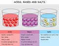 Acids Bases and Salts infographic diagram