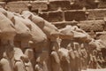 Egyptian heads Karnak Complex Royalty Free Stock Photo