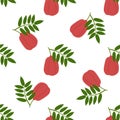 Ackee Fruit. Seamless Vector Patterns