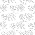 Ackee Fruit. Seamless Vector Patterns