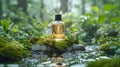 ackground with forest plants, water flowing around moss and stones bottle of perfume on a rock Royalty Free Stock Photo