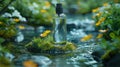 ackground with forest plants, water flowing around moss and stones bottle of perfume on a rock Royalty Free Stock Photo