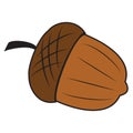 Acorn