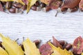 Acorn and autumn leaf border frame Royalty Free Stock Photo