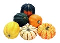 Acorn and carvinal squash Royalty Free Stock Photo