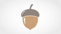 The acorn is centered on a plain white background emphasizing its shape and Royalty Free Stock Photo