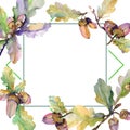 Acorn green leaves and nuts. Watercolor background illustration set. Frame border ornament square. Royalty Free Stock Photo