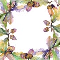 Acorn green leaves and nuts. Watercolor background illustration set. Frame border ornament square. Royalty Free Stock Photo